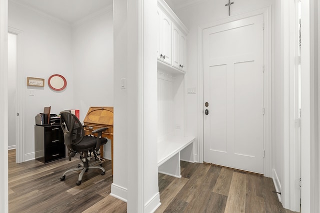 mudroom featuring dark wood-type flooring and crown molding