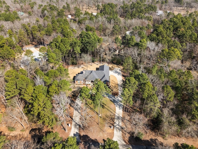 drone / aerial view