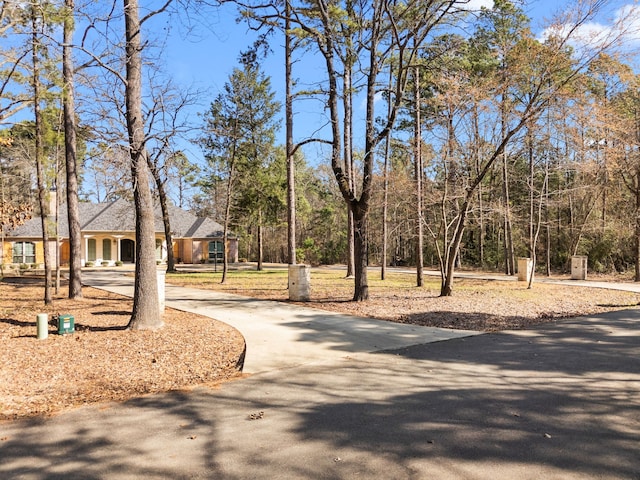 view of road with driveway