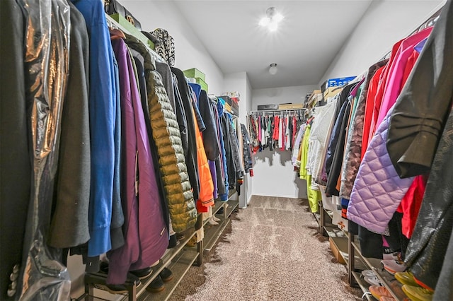 4424 Dashland Dr, Celina, TX 75009 - spacious closet with carpet flooring