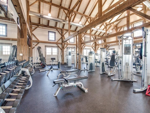 4424 Dashland Dr, Celina, TX 75009 - workout area with high vaulted ceiling