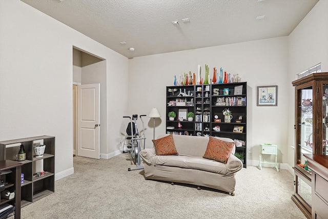 living area featuring baseboards, a textured ceiling, and light colored carpet