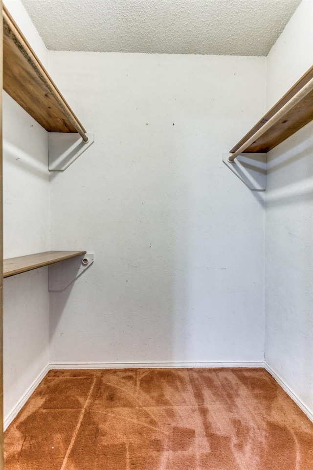 spacious closet with carpet flooring