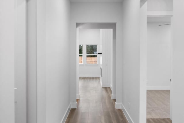 hall featuring hardwood / wood-style floors