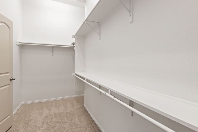 walk in closet with light colored carpet