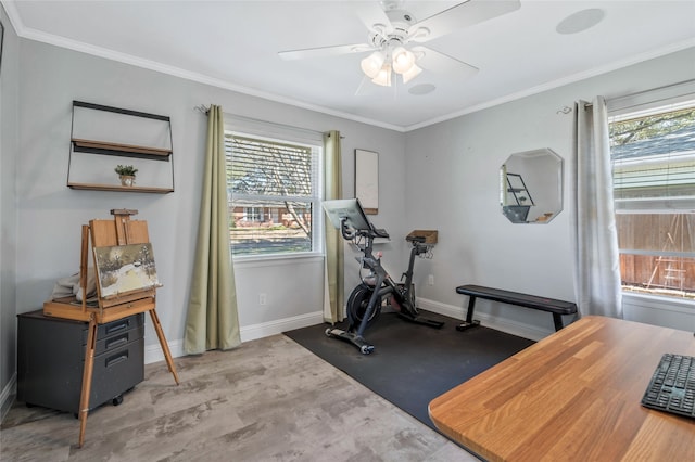 workout room featuring crown molding, baseboards, and ceiling fan