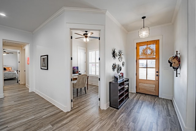 foyer with ceiling fan, wood-type flooring, and ornamental molding