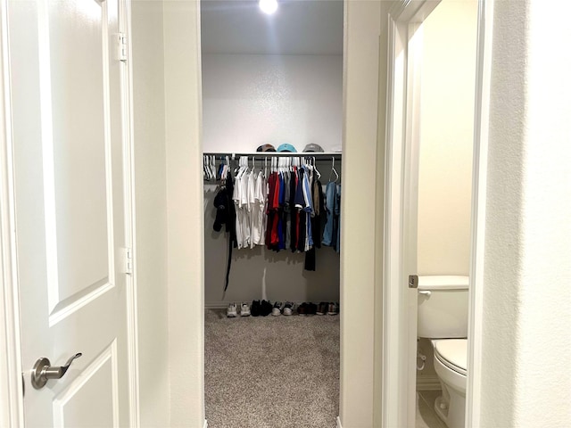 spacious closet with carpet