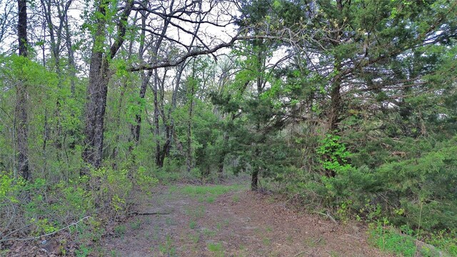 0000 County Road 417, Muenster, TX 76252