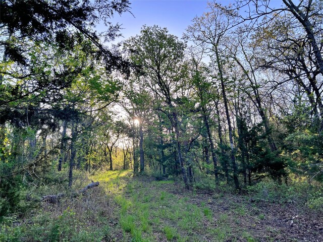 0000 County Road 417, Muenster, TX 76252