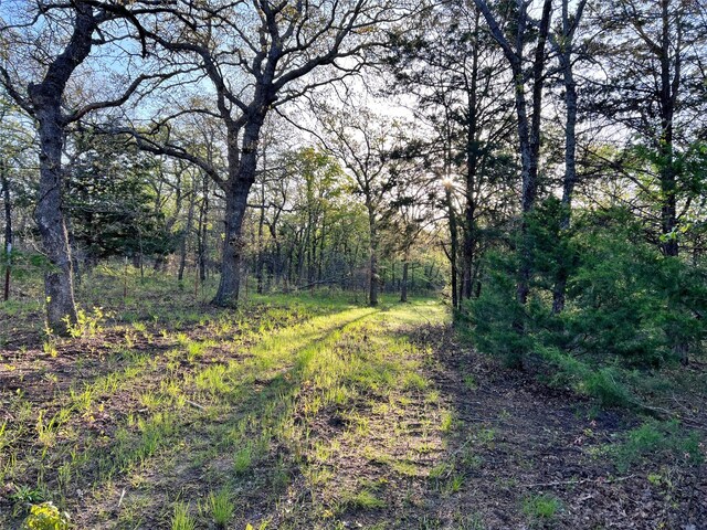 0000 County Road 417, Muenster, TX 76252