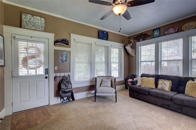 living room featuring ceiling fan, carpet floors, and crown molding