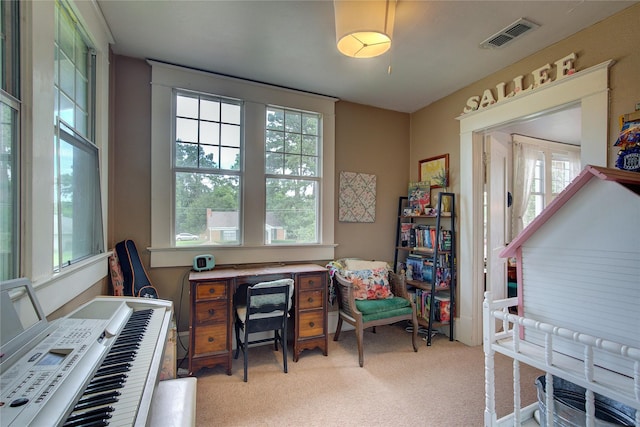 office space featuring a wealth of natural light and light colored carpet