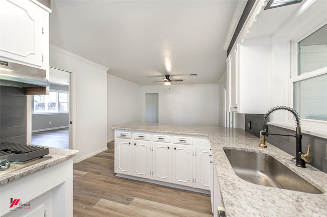 kitchen with light hardwood / wood-style flooring, ceiling fan, ornamental molding, sink, and white cabinetry