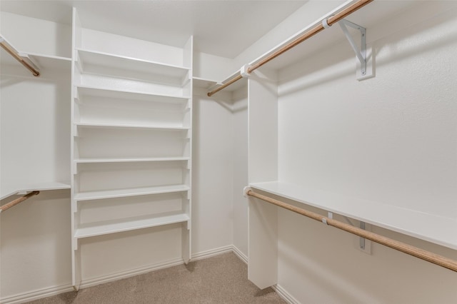 walk in closet with light carpet