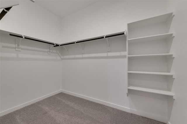 walk in closet with carpet floors
