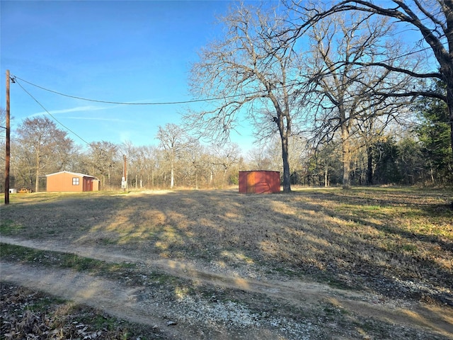 view of yard with a storage unit