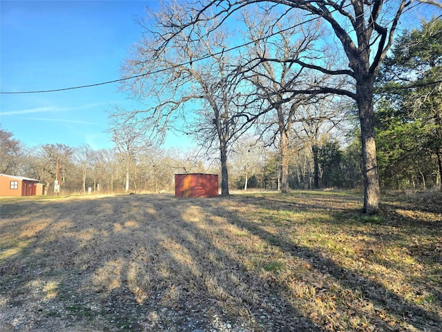 view of yard with a shed