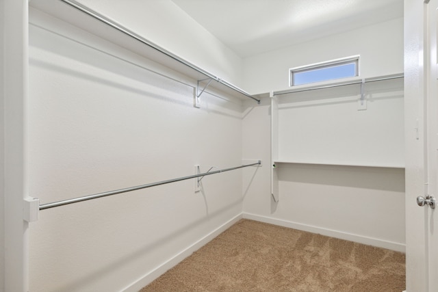 walk in closet with carpet