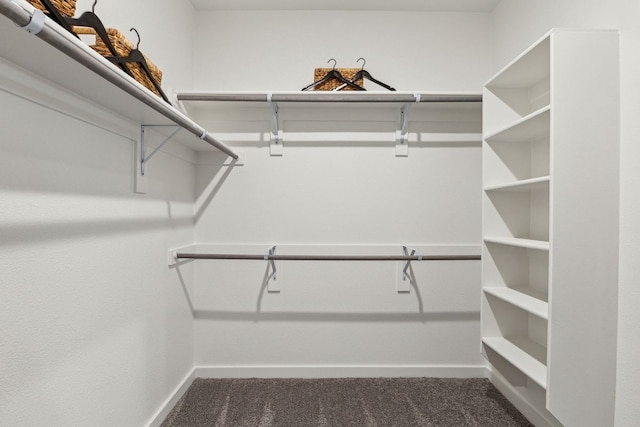 spacious closet with dark carpet