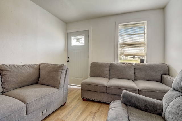 living room featuring light hardwood / wood-style floors