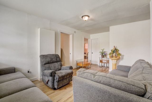 living room featuring light wood-type flooring