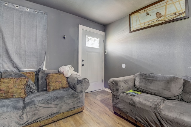 living room featuring hardwood / wood-style floors