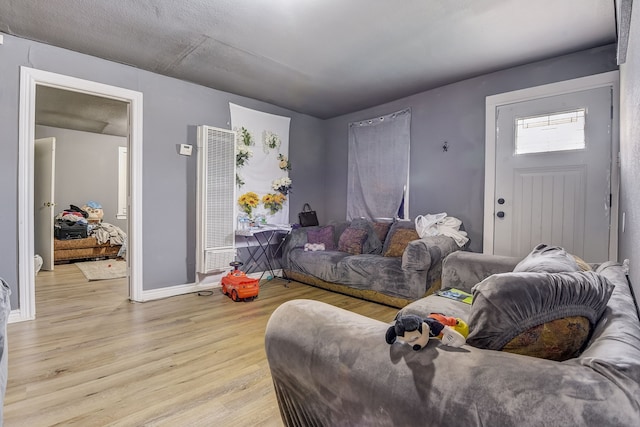 living room featuring light hardwood / wood-style floors