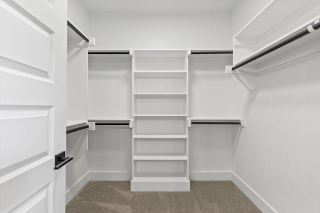 spacious closet with carpet flooring