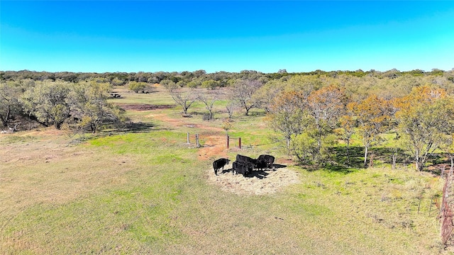 Listing photo 3 for TBDTRACT6 Hayes Rd, Mineral Wells TX 76067