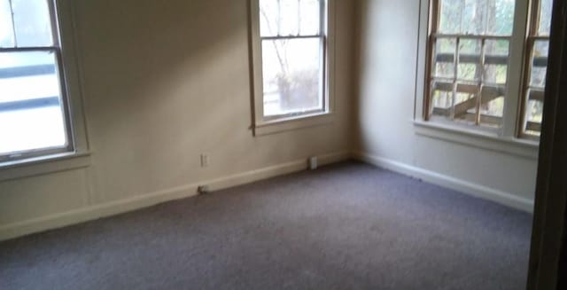 empty room featuring carpet and a wealth of natural light