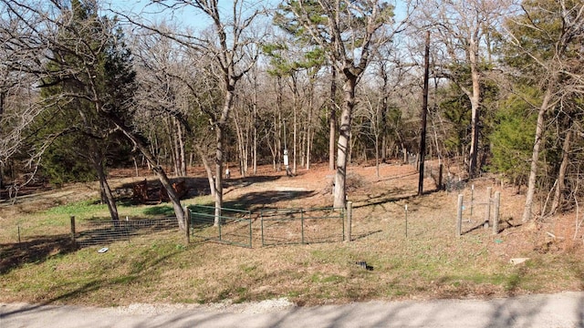 407 411, Long Shadow, Murchison TX, 75778 land for sale