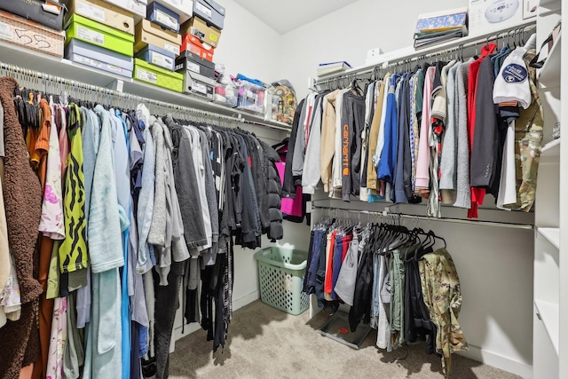 spacious closet with carpet