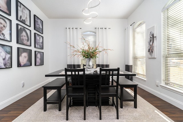 dining room featuring a wealth of natural light and wood finished floors