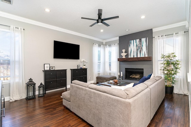 living area featuring dark wood-style floors and crown molding