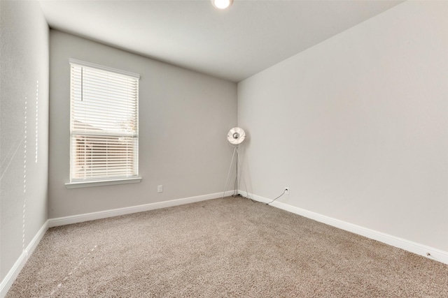 unfurnished room with carpet