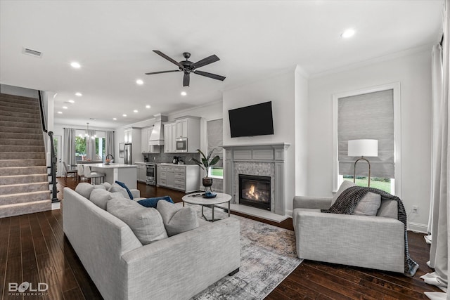 living room featuring sink, ceiling fan with notable chandelier, crown molding, dark hardwood / wood-style flooring, and a fireplace