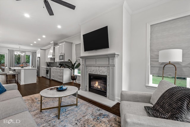 living room with dark hardwood / wood-style flooring, a premium fireplace, sink, ornamental molding, and ceiling fan