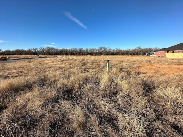 1107 Wild Rose Dr, Tolar TX, 76476 land for sale