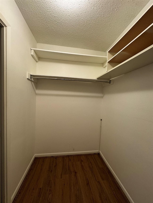 walk in closet featuring dark hardwood / wood-style flooring