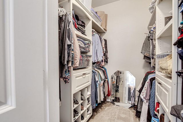 spacious closet with carpet