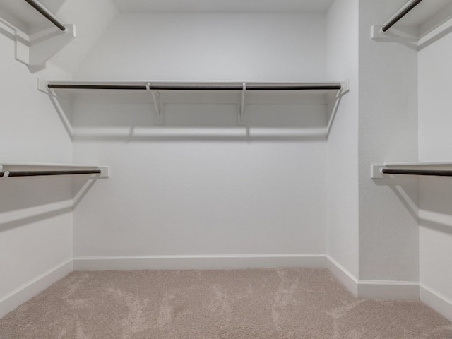 spacious closet with carpet