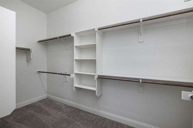 spacious closet with carpet