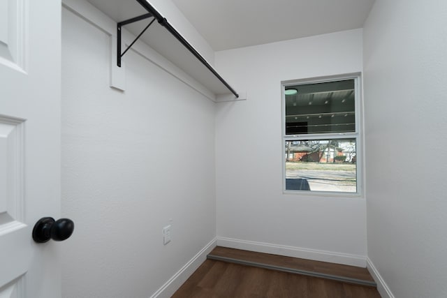 walk in closet featuring dark hardwood / wood-style flooring