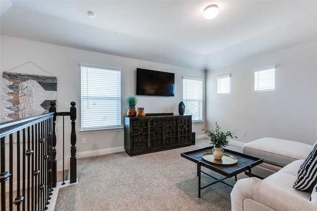 living room featuring carpet flooring