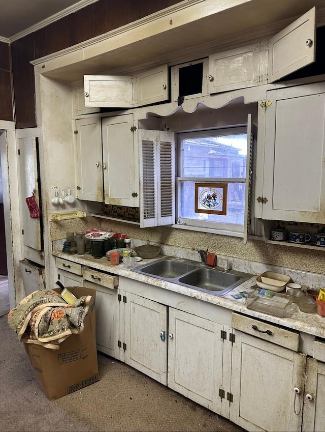 kitchen with sink and crown molding