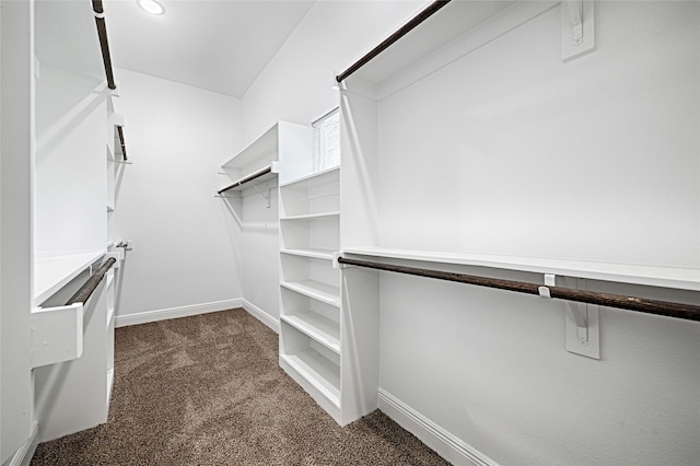 walk in closet featuring dark colored carpet