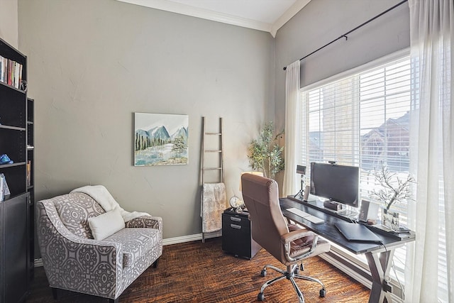 office space featuring baseboards, dark wood-style flooring, and crown molding