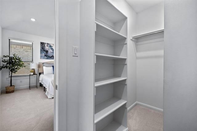 walk in closet with light colored carpet