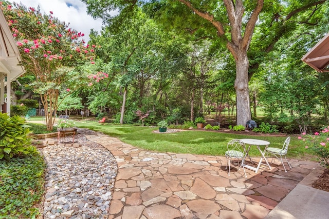 view of yard featuring a patio area and outdoor dining area